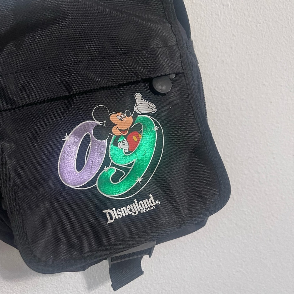 2009 Walt Disney World Cross Body Bag Small Messenger Bag Adjustable Strap - Picture 2 of 5